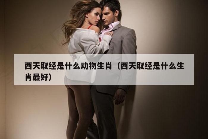 西天取经是什么动物生肖（西天取经是什么生肖最好）